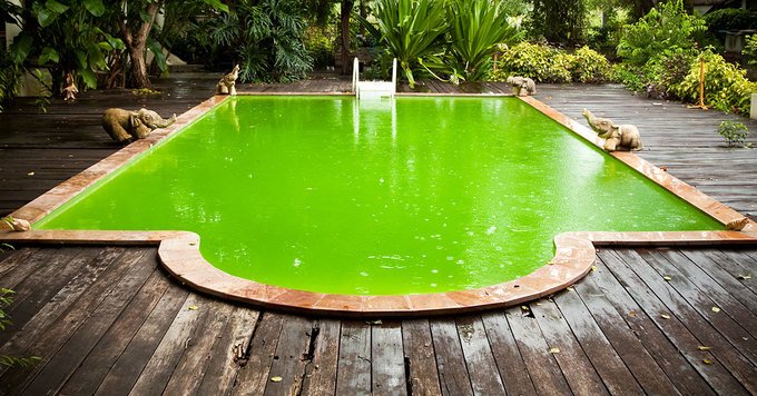 Rattraper une eau de piscine verte
